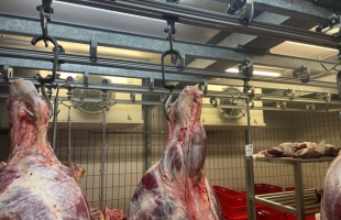 Industrieële koelinstallatie vleesverwerking